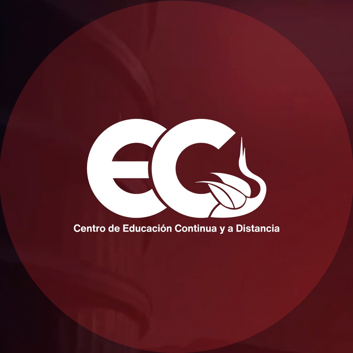 Centro De Educación Continua Y A Distancia